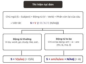 thi-hien-tai-don-present-simple-luyen-tieng-anh